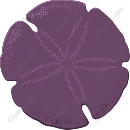 Coastal Elegance Sand Dollar