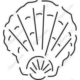 Elegant Shell