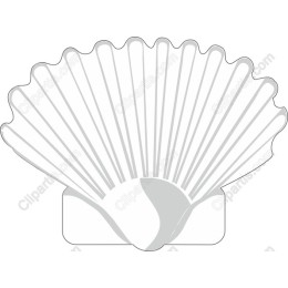Elegant Scallop Shell