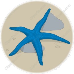 Vibrant Blue Starfish