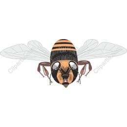 Nature's Pollinator: Bee
