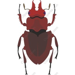 Vibrant Beetle