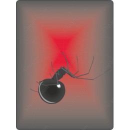 Black Widow Spider
