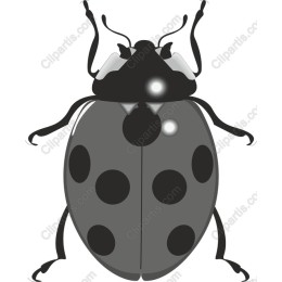 Charming Ladybug