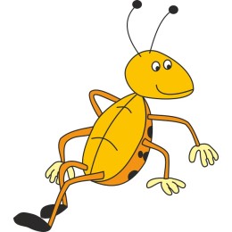 Cheerful Insect