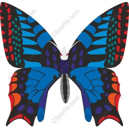 Blue Butterfly
