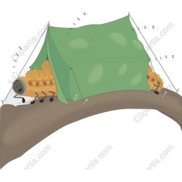 Charming Camping Cartoon