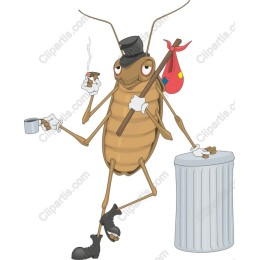 Dapper Cockroach