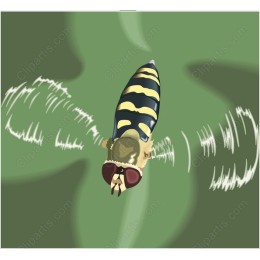 Vibrant Bee