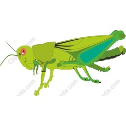 Cheerful Green Grasshopper