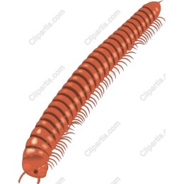 Millipede