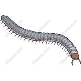 Charming Cartoon Caterpillar