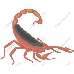 Fierce Scorpion