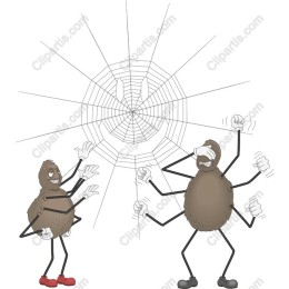 Playful Spider Encounter