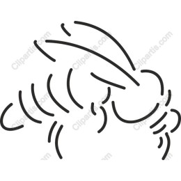 Minimalist Bee