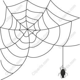 Spider Web and Spider