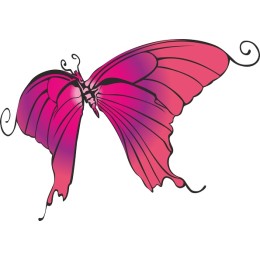 Pink Butterfly