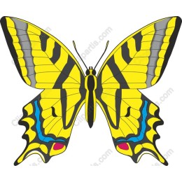 Yellow Swallowtail Butterfly