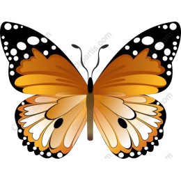 Majestic Monarch Butterfly