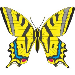 Vibrant Yellow Butterfly