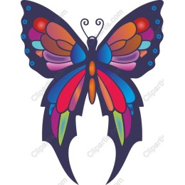 Vibrant Butterfly