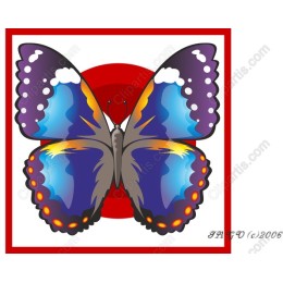 Vibrant Butterfly
