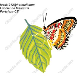 Butterfly on Leaf