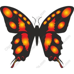 Vibrant Butterfly