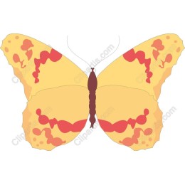 Golden Sunset Butterfly