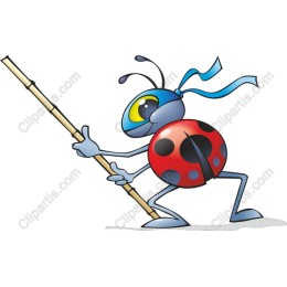 Vibrant Ladybug Adventure
