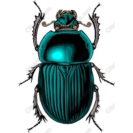 Vibrant Beetle