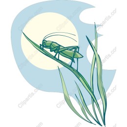 Vibrant Grasshopper
