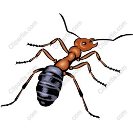 Realistic Ant