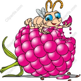 Cheerful Raspberry Munching Insect