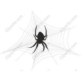 Spider in Web