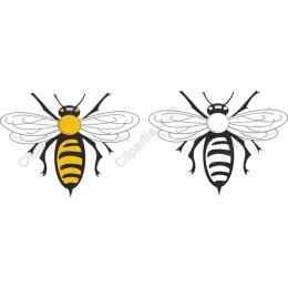 Vibrant Bee