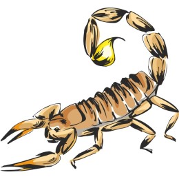 Scorpion