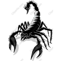 Scorpion