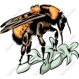 Vibrant Bumblebee