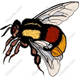 Vibrant Bumblebee
