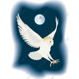 Majestic Barn Owl in Flight