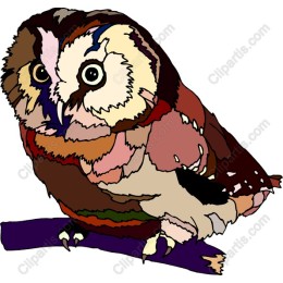 Colorful Owl