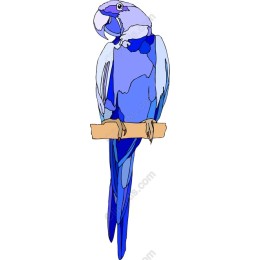 Vibrant Blue Parrot
