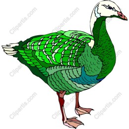 Vibrant Duck