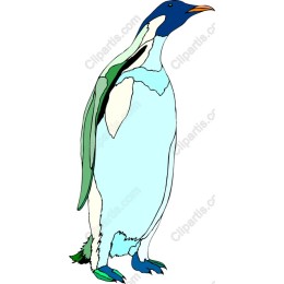 Charming Penguin