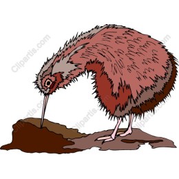 Whimsical Kiwi Bird