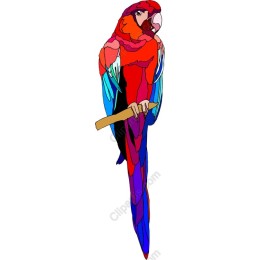 Vibrant Macaw Parrot