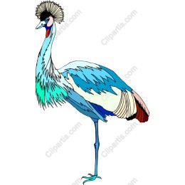 Elegant Crane