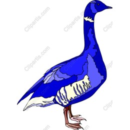 Blue Goose