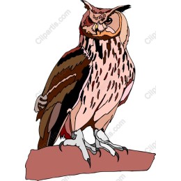 Majestic Owl